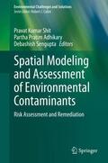 Shit / Sengupta / Adhikary |  Spatial Modeling and Assessment of Environmental Contaminants | Buch |  Sack Fachmedien
