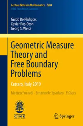 De Philippis / Ros-Oton / Weiss |  Geometric Measure Theory and Free Boundary Problems | eBook | Sack Fachmedien
