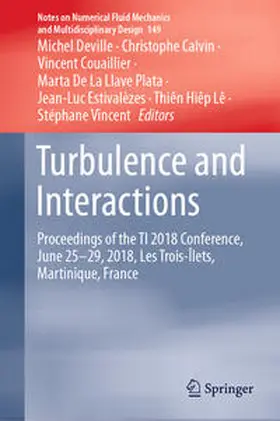 Deville / Calvin / Couaillier |  Turbulence and Interactions | Buch |  Sack Fachmedien