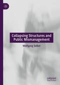 Seibel |  Collapsing Structures and Public Mismanagement | Buch |  Sack Fachmedien
