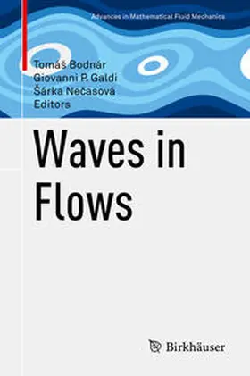 Bodnár / Galdi / Necasová |  Waves in Flows | eBook | Sack Fachmedien