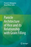 Sahu / Mohapatra |  Panicle Architecture of Rice and its Relationship with Grain Filling | Buch |  Sack Fachmedien