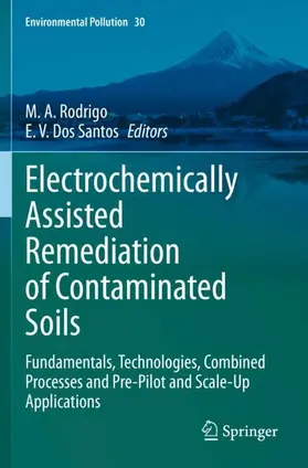 Dos Santos / Rodrigo |  Electrochemically Assisted Remediation of Contaminated Soils | Buch |  Sack Fachmedien