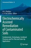 Dos Santos / Rodrigo |  Electrochemically Assisted Remediation of Contaminated Soils | Buch |  Sack Fachmedien