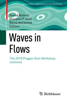 Bodnár / Necasová / Galdi | Waves in Flows | Buch | 978-3-030-68143-2 | sack.de