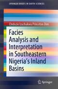 Dim |  Facies Analysis and Interpretation in Southeastern Nigeria's Inland Basins | Buch |  Sack Fachmedien