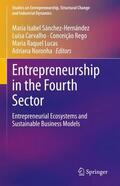 Sánchez-Hernández / Carvalho / Noronha |  Entrepreneurship in the Fourth Sector | Buch |  Sack Fachmedien