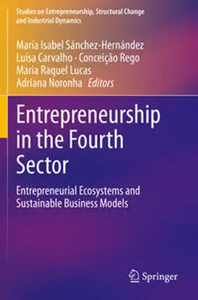 Sánchez-Hernández / Carvalho / Noronha |  Entrepreneurship in the Fourth Sector | Buch |  Sack Fachmedien