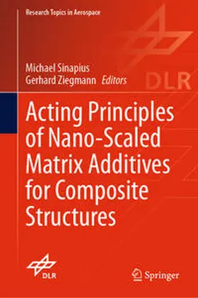 Sinapius / Ziegmann |  Acting Principles of Nano-Scaled Matrix Additives for Composite Structures | eBook | Sack Fachmedien