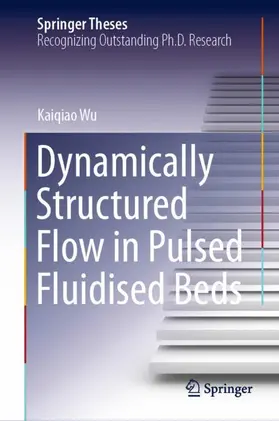 Wu |  Dynamically Structured Flow in Pulsed Fluidised Beds | Buch |  Sack Fachmedien