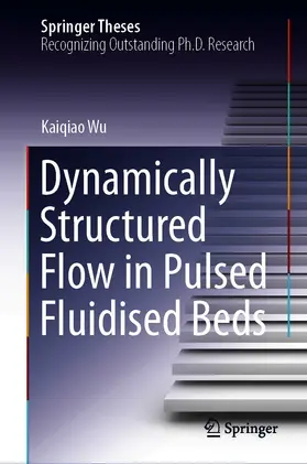 Wu | Dynamically Structured Flow in Pulsed Fluidised Beds | E-Book | www.sack.de