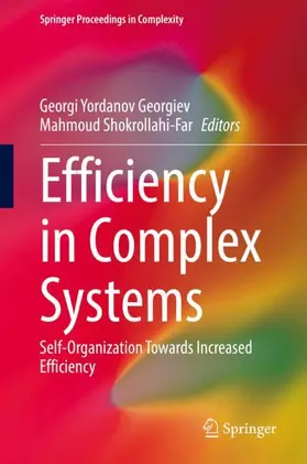Shokrollahi-Far / Georgiev |  Efficiency in Complex Systems | Buch |  Sack Fachmedien