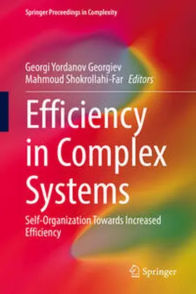 Georgiev / Shokrollahi-Far |  Efficiency in Complex Systems | eBook | Sack Fachmedien