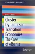 Karafili |  Cluster Dynamics in Transition Economies | Buch |  Sack Fachmedien