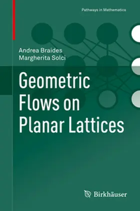 Braides / Solci |  Geometric Flows on Planar Lattices | eBook | Sack Fachmedien