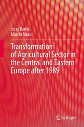 Banski / Banski / Mazur |  Transformation of Agricultural Sector in the Central and Eastern Europe after 1989 | eBook | Sack Fachmedien