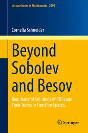 Schneider | Beyond Sobolev and Besov | E-Book | sack.de