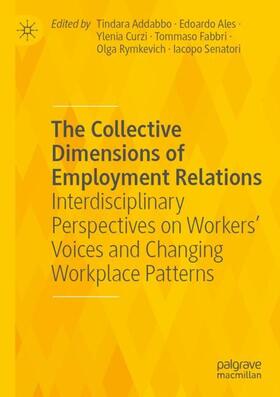 Addabbo / Ales / Senatori | The Collective Dimensions of Employment Relations | Buch | 978-3-030-75534-8 | sack.de