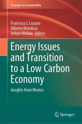Lozano / Molina / Mendoza |  Energy Issues and Transition to a Low Carbon Economy | Buch |  Sack Fachmedien