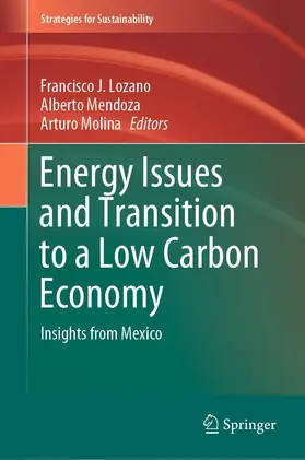 Lozano / Mendoza / Molina | Energy Issues and Transition to a Low Carbon Economy | E-Book | www.sack.de