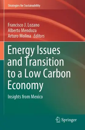 Lozano / Molina / Mendoza |  Energy Issues and Transition to a Low Carbon Economy | Buch |  Sack Fachmedien