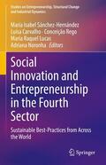 Sánchez-Hernández / Carvalho / Rego |  Social Innovation and Entrepreneurship in the Fourth Sector | eBook | Sack Fachmedien