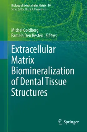 Den Besten / Goldberg |  Extracellular Matrix Biomineralization of Dental Tissue Structures | Buch |  Sack Fachmedien