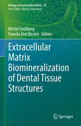 Goldberg / Den Besten |  Extracellular Matrix Biomineralization of Dental Tissue Structures | eBook | Sack Fachmedien