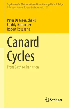 De Maesschalck / Roussarie / Dumortier |  Canard Cycles | Buch |  Sack Fachmedien