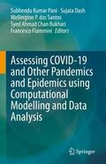 Pani / Dash / Flammini |  Assessing COVID-19 and Other Pandemics and Epidemics using Computational Modelling and Data Analysis | Buch |  Sack Fachmedien