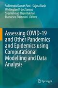 Pani / Dash / Flammini |  Assessing COVID-19 and Other Pandemics and Epidemics using Computational Modelling and Data Analysis | Buch |  Sack Fachmedien