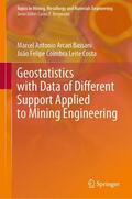 Coimbra Leite Costa / Arcari Bassani |  Geostatistics with Data of Different Support Applied to Mining Engineering | Buch |  Sack Fachmedien