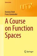 Breit / Gmeineder |  A Course on Function Spaces | Buch |  Sack Fachmedien