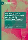 Mayer / Van Niekerk / Fouché |  Psychobiographical Illustrations on Meaning and Identity in Sociocultural Contexts | Buch |  Sack Fachmedien
