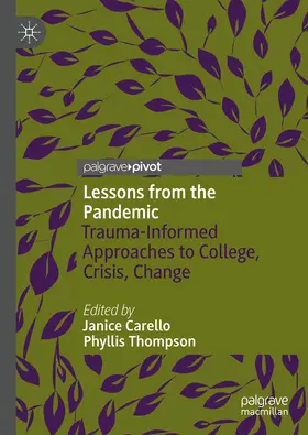 Carello / Thompson |  Lessons from the Pandemic | Buch |  Sack Fachmedien