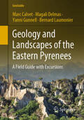 Calvet / Delmas / Gunnell |  Geology and Landscapes of the Eastern Pyrenees | eBook | Sack Fachmedien
