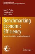 Pastor / Zofío / Aparicio |  Benchmarking Economic Efficiency | Buch |  Sack Fachmedien