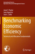 Pastor / Aparicio / Zofío |  Benchmarking Economic Efficiency | eBook | Sack Fachmedien