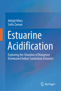 Mitra / Zaman |  Estuarine Acidification | eBook | Sack Fachmedien