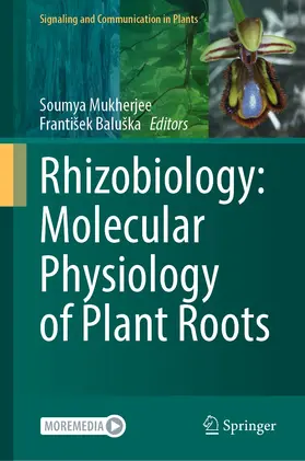 Mukherjee / Baluška / Baluska |  Rhizobiology: Molecular Physiology of Plant Roots | eBook | Sack Fachmedien