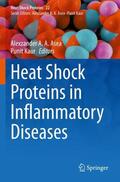 Kaur / Asea |  Heat Shock Proteins in Inflammatory Diseases | Buch |  Sack Fachmedien