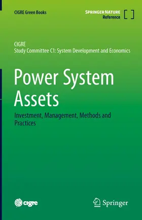 Ancell / Ford / Hill |  Power System Assets | Buch |  Sack Fachmedien