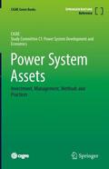 Ancell / Ford / Hill |  Power System Assets | Buch |  Sack Fachmedien