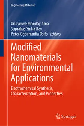 Ama / Sinha Ray / Ogbemudia Osifo | Modified Nanomaterials for Environmental Applications | E-Book | www.sack.de