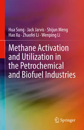 Song / Jarvis / Meng |  Methane Activation and Utilization in the Petrochemical and Biofuel Industries | eBook | Sack Fachmedien