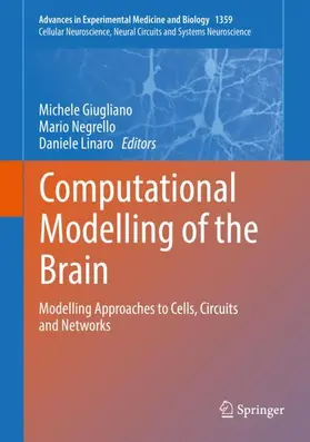 Giugliano / Linaro / Negrello |  Computational Modelling of the Brain | Buch |  Sack Fachmedien