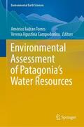 Campodonico / Torres |  Environmental Assessment of Patagonia's Water Resources | Buch |  Sack Fachmedien