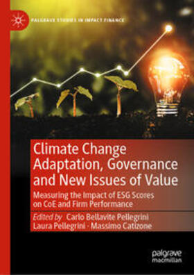 Bellavite Pellegrini / Pellegrini / Catizone | Climate Change Adaptation, Governance and New Issues of Value | E-Book | sack.de