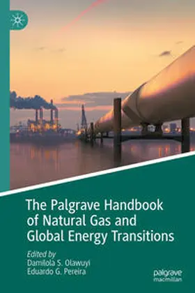 Olawuyi / Pereira | The Palgrave Handbook of Natural Gas and Global Energy Transitions | E-Book | sack.de