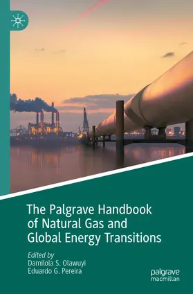 Pereira / Olawuyi |  The Palgrave Handbook of Natural Gas and Global Energy Transitions | Buch |  Sack Fachmedien